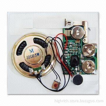 Voice Card Module with Recording IC, Circuit, and Batteries